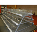 Low Price Chicken Breeding Equipment in Poultry House (JFW-08)